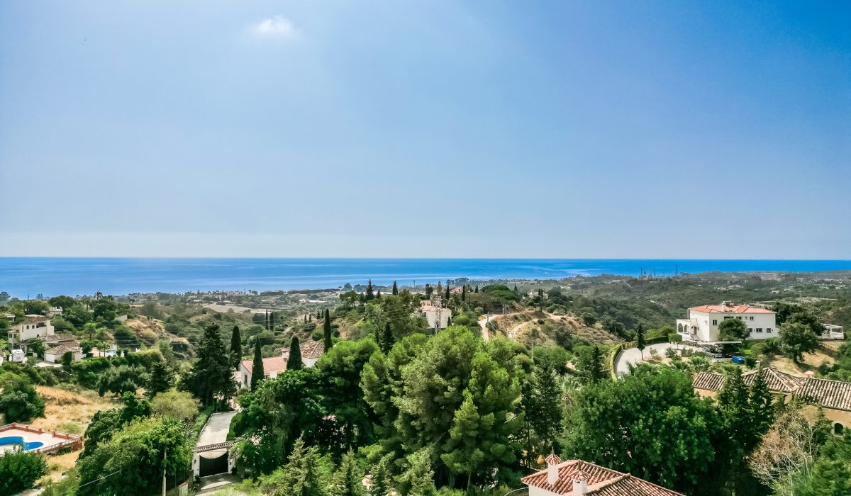DJI_0217