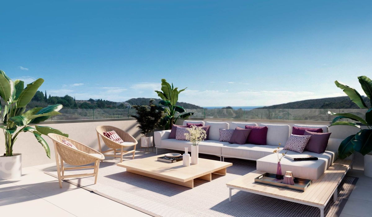 V05_Terraza_1