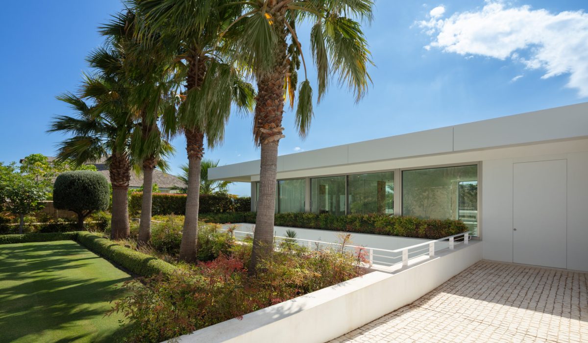 spca_visual_marbella__MG_3305-Edit